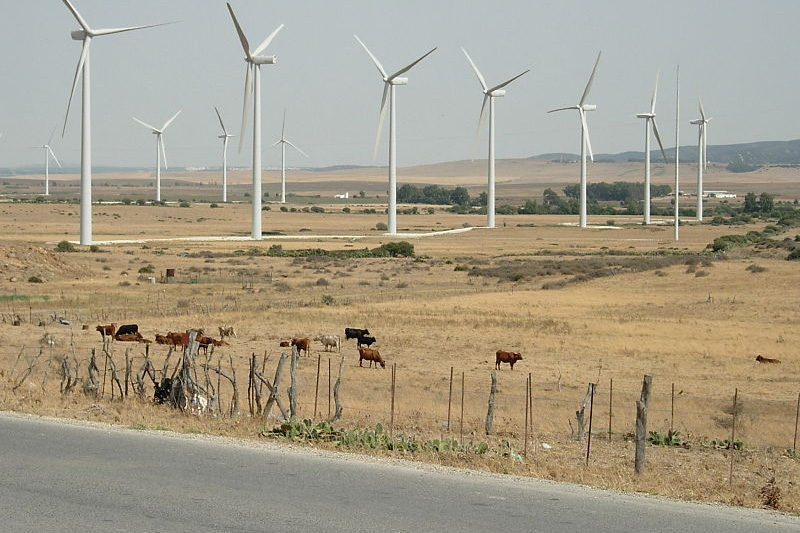 Asia Ser L Der Indiscutible De Energ A E Lica En Ambientum