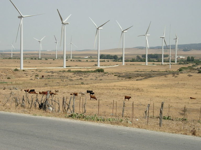 La energía eólica supera el hito de 100 gigavatios en EEUU Ambientum