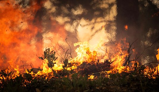 El fuego arrasa California