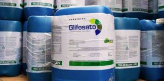 El Parlamento Europeo pide la prohibición progresiva del herbicida glifosato