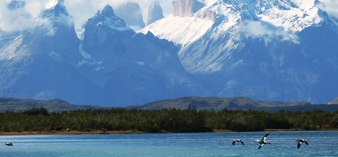 La Patagonia es clave para conservar la biodiversidad y mitigar el cambio climático