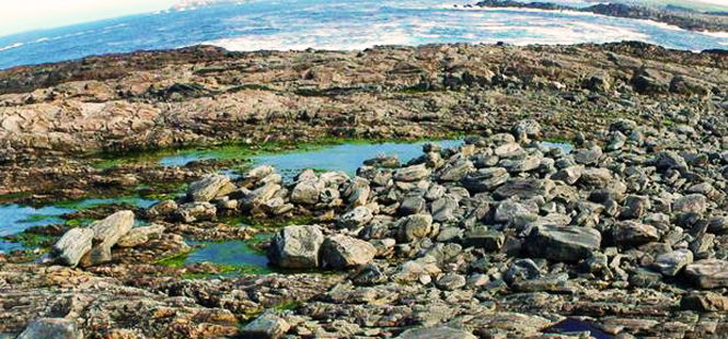 ¿Cómo llegaron estas rocas gigantes a la costa de Irlanda?