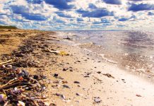 Cuatro proyectos para sacar la basura de las playas y océanos