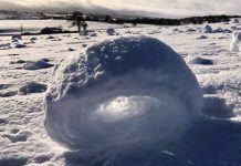 Impresionante fenómeno natural conocido como “Rollos de nieve”