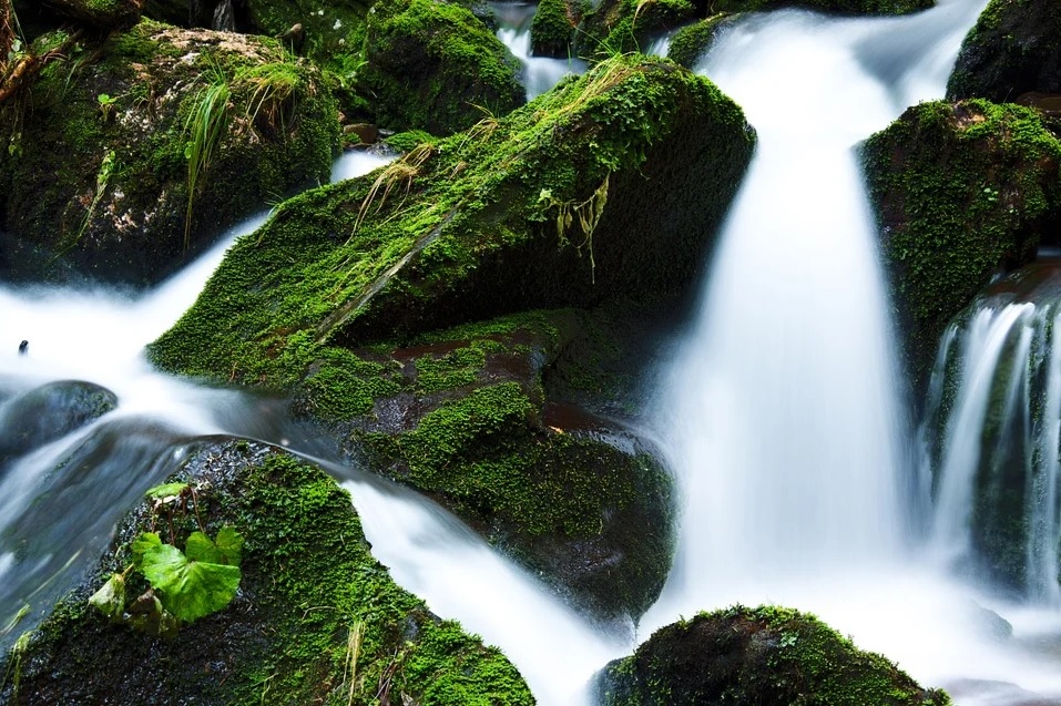 El Agua Es El Recurso Renovable Más Importante Que Existe Ambientum 8941