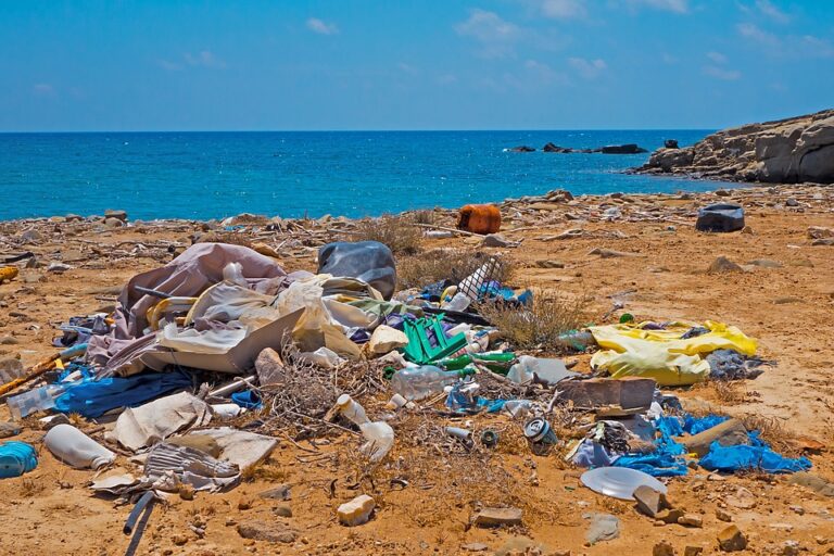 Cómo podemos evitar la contaminación del mar Ambientum