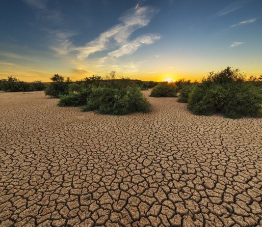 Aprovechando la Energía Solar: La magia del sol en tu hogar - Ambientum  Portal Lider Medioambiente