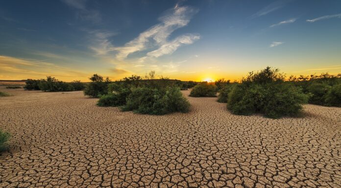 Desafíos y Soluciones en Tiempos de Sequía: Estrategias para una Gestión Sostenible del Agua en España