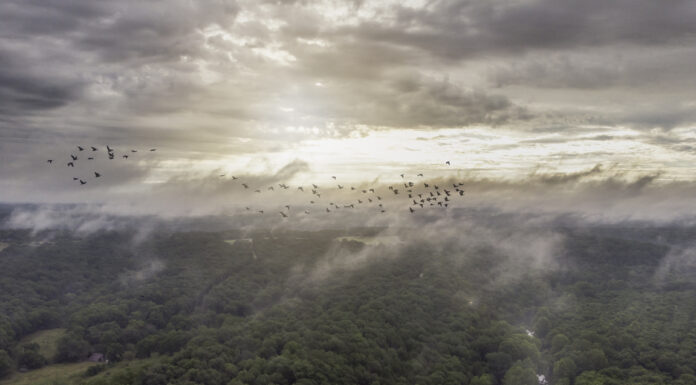 El impacto de los ríos atmosféricos en las regiones vulnerables al cambio climático