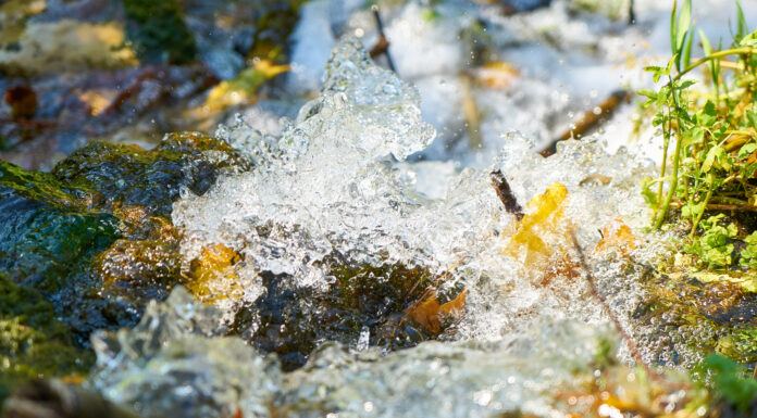 El fascinante ciclo del agua