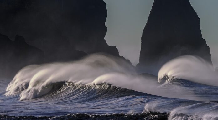 Curiosidades Marítimas: ¿Qué Secretos Esconden las Olas?