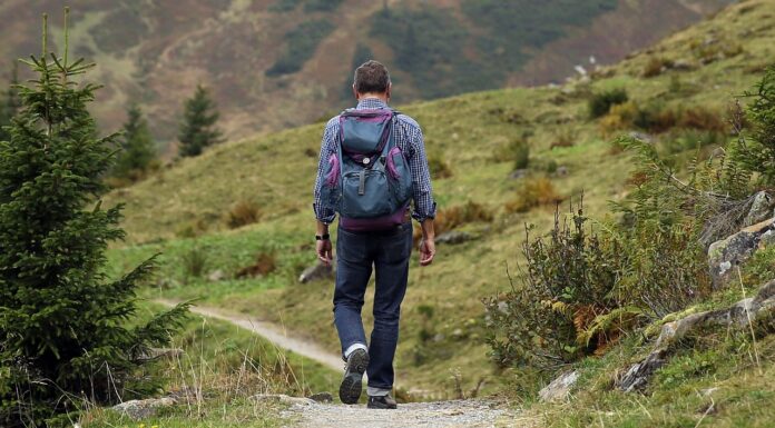 Guía completa de Ecoturismo Responsable: Viajando con propósito