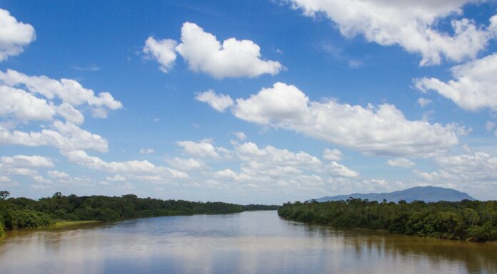 Maravillas naturales: Un recorrido por los ríos más grandes del mundo