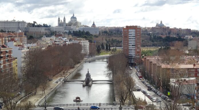 El río Manzanares recupera fauna y flora