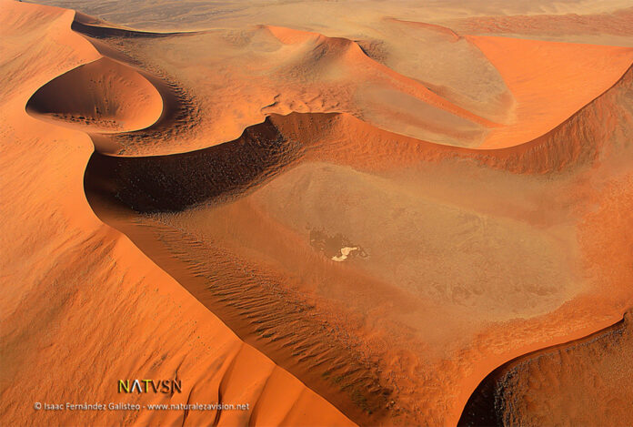 DÍA MUNDIAL DE LUCHA CONTRA LA DESERTIFICACIÓN Y LA SEQUÍA