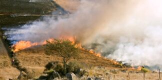 Cortafuegos para prevenir incendios forestales