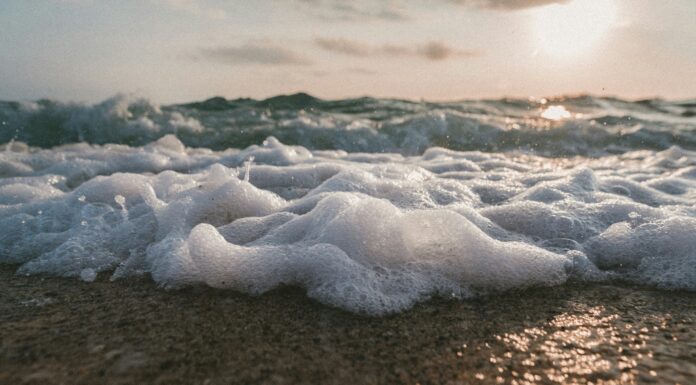 Espuma del mar