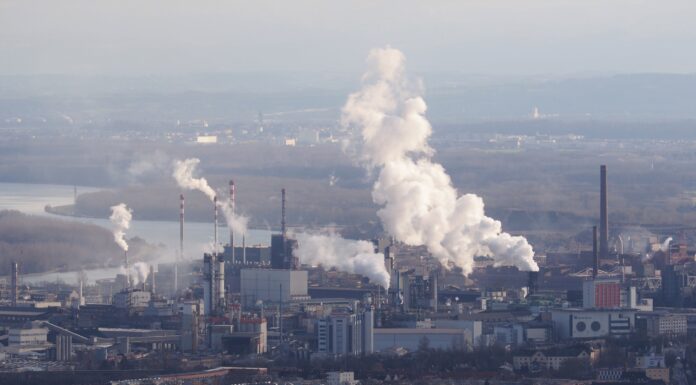 Ambientum.com: Innovadores Biofiltros de Lignina para Reducir la Contaminación por Metales Pesados en Aguas Industriales