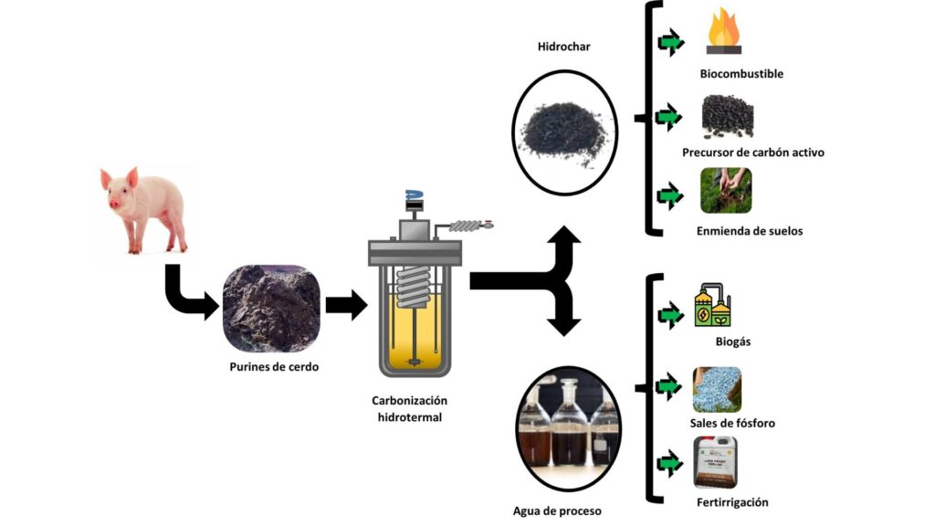 Esquema proceso de carboniczación hidrotermal