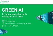 Green AI 2024