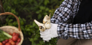 Agricultura ecológica