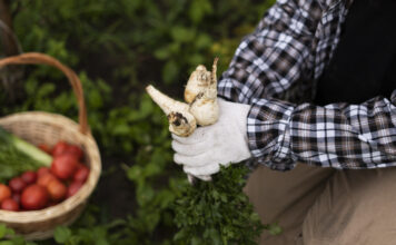 Agricultura ecológica