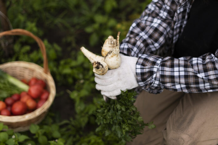 Agricultura ecológica