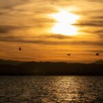 La Albufera de Valencia, un paso más cerca de ser Reserva de la Biosfera por la UNESCO