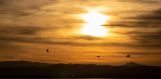 La Albufera de Valencia, un paso más cerca de ser Reserva de la Biosfera por la UNESCO