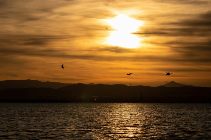 La Albufera de Valencia, un paso más cerca de ser Reserva de la Biosfera por la UNESCO