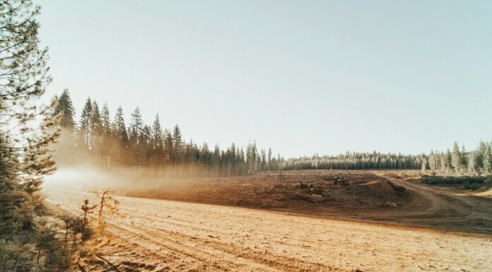 El impacto de la deforestación en el aumento de CO2 en la atmósfera