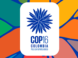 La COP16, la cumbre de la biodiversidad