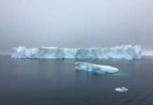 Calentamiento de los océanos. Icebergs