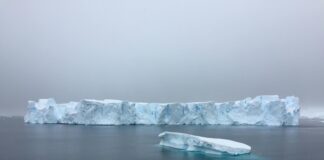 Calentamiento de los océanos. Icebergs