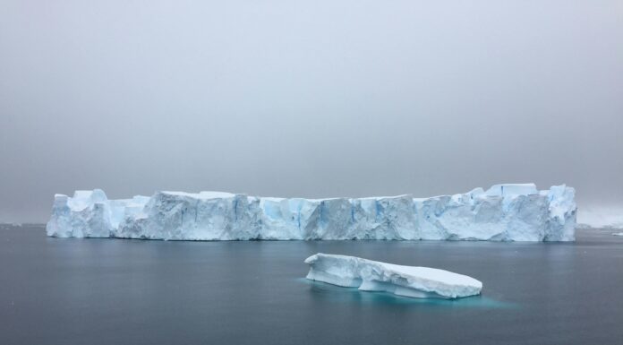 Calentamiento de los océanos. Icebergs