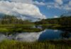 GEO Ecuador 2023. Biodiversidad