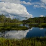 GEO Ecuador 2023. Biodiversidad