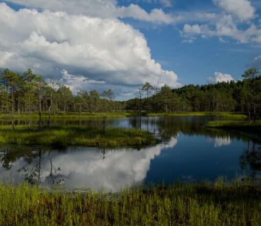 GEO Ecuador 2023. Biodiversidad