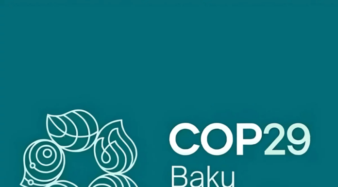 COP29 en Bakú