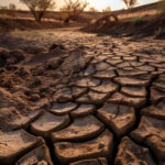 Una Autoridad Nacional del Agua para afrontar la crisis hídrica en España