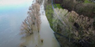 La contaminación que dejan a su paso las riadas