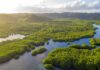 Selva Amazónica en Brasil