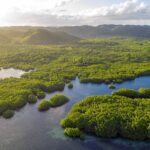 Selva Amazónica en Brasil