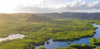 Selva Amazónica en Brasil