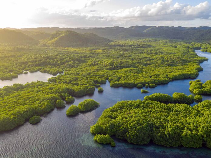 Selva Amazónica en Brasil