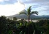 Ecoturismo en el Parque Nacional Manuel Antonio en Costa Rica