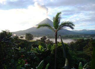 Ecoturismo en el Parque Nacional Manuel Antonio en Costa Rica