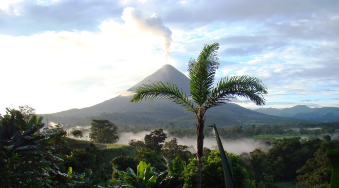 Ecoturismo en el Parque Nacional Manuel Antonio en Costa Rica