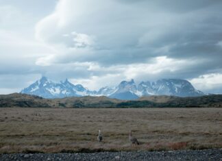 La Patagonia