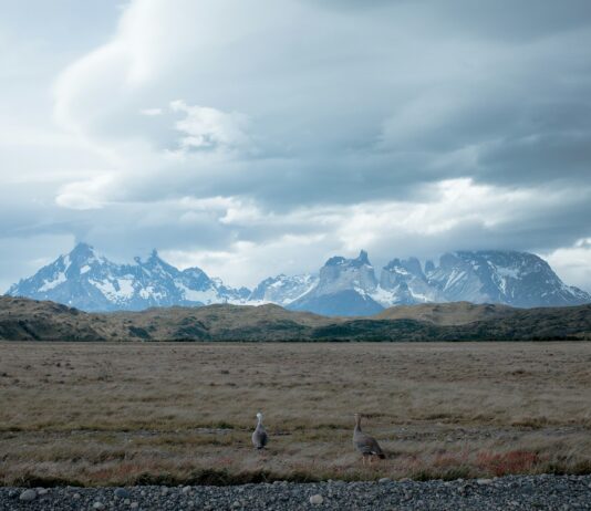 La Patagonia